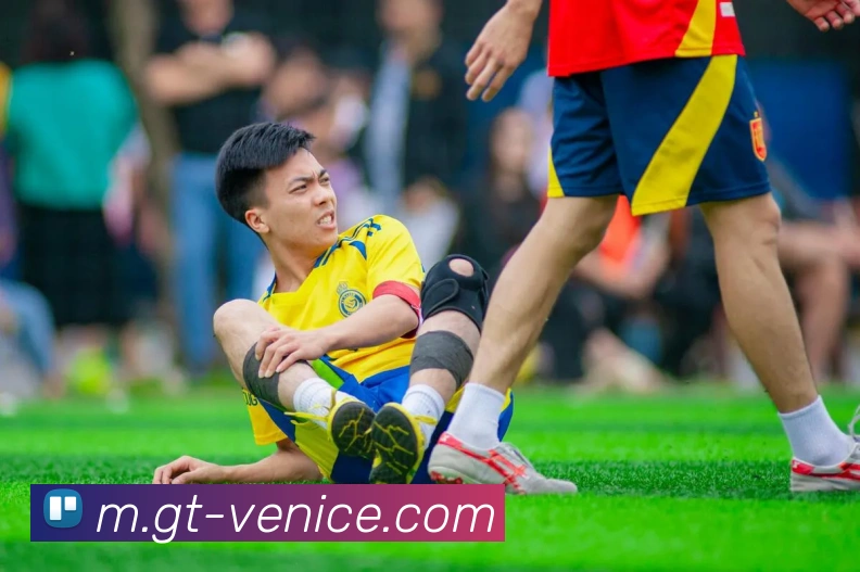 威尼斯人娱乐官网APP 封面图